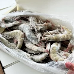 Креветка тигрова з головою, Еквадор, 40/50, упаковка 2кг